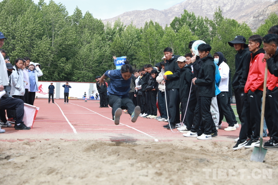 激情飞扬 逐梦赛场——西藏自治区体育运动技术学校2025年春季运动会开幕球速体育入口(图2)