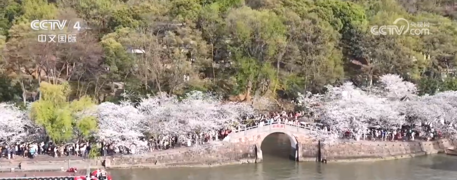 球速体育入口赛事聚“流量”经济添“增量” 以“赛”为媒激发多元消费新活力(图1)